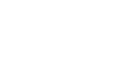 neonica logo